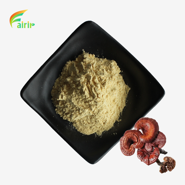 Natural Reishi Extract Powder